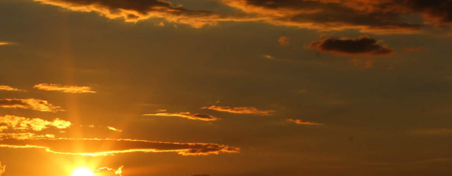 20 /11 Sydney South Summer Skill Development Program